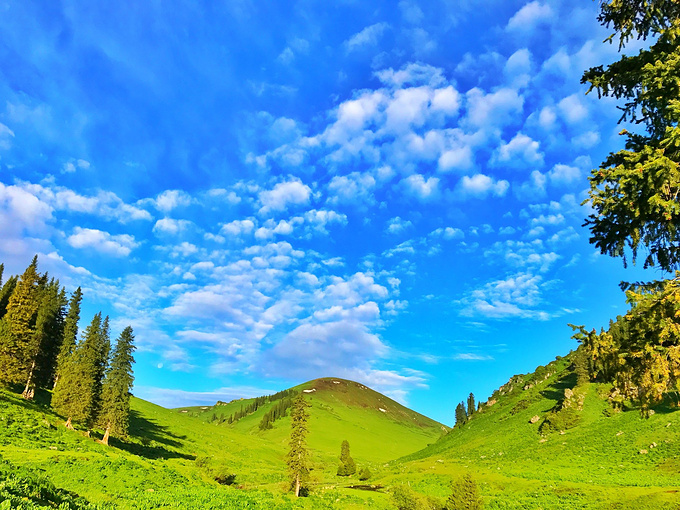 那拉提旅游风景区图片