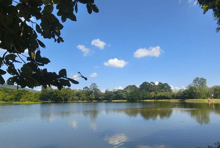 电子讲解有介绍很多清迈大学的留学生课程 本