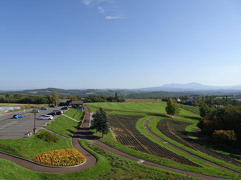 2020三爱之丘展望公园-旅游攻略-门票-地址-问答-游记点评,美瑛町旅游