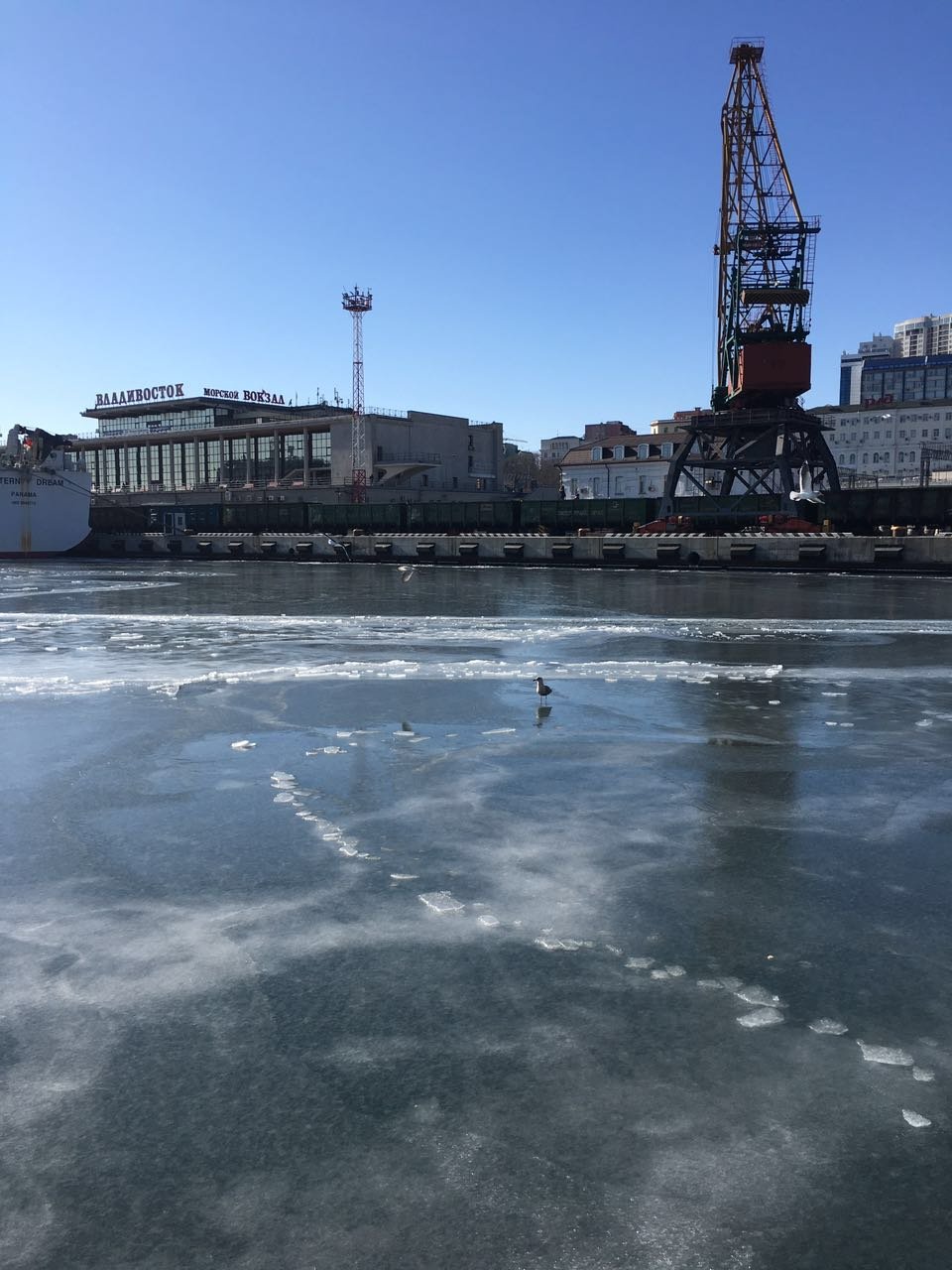 海参崴红灯旅游图片