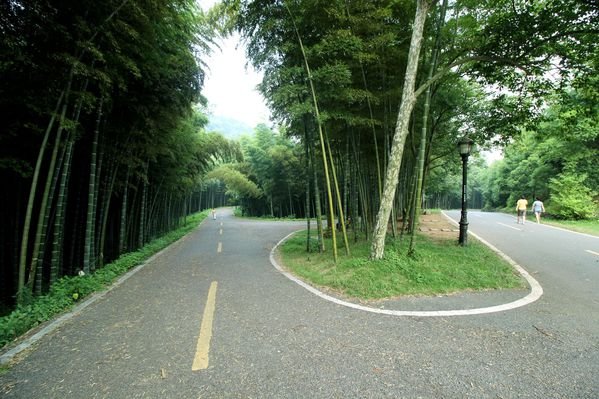 潜山国家森林公园