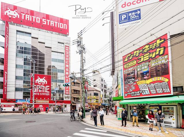 小露宝の京都寻找秋日童梦