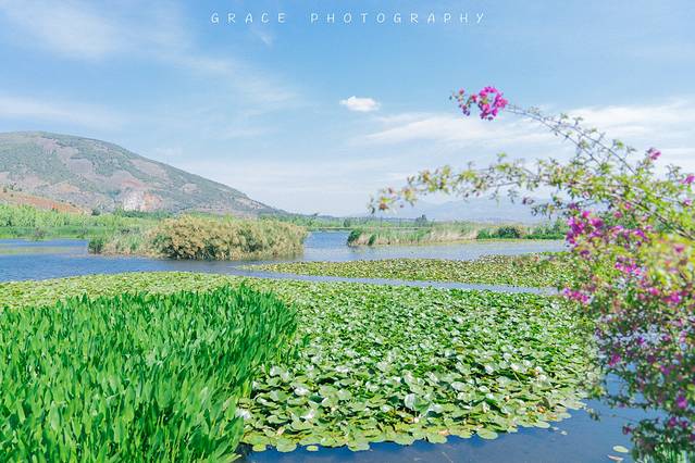 洱海月湿地公园