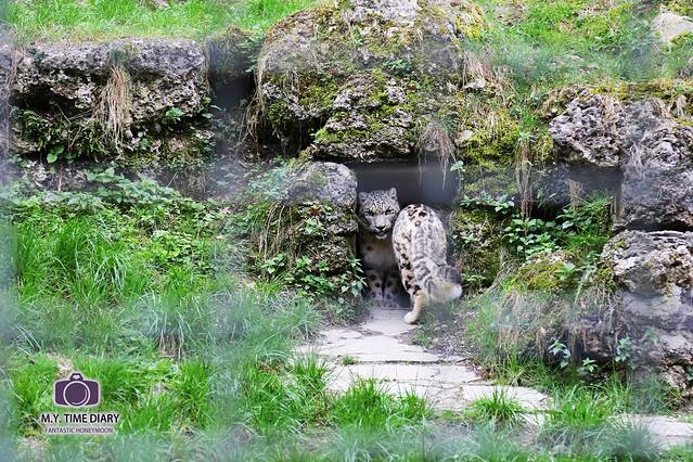 萨尔茨堡动物园 