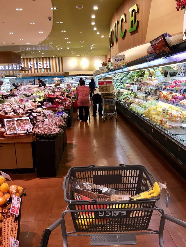 17个月豌豆宝宝漫步雨季冲绳海洋馆名护动植