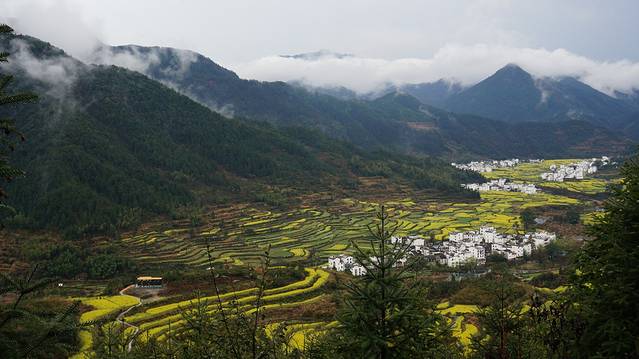 2021江嶺景區門票,婺源江嶺景區遊玩攻略,江嶺景區遊覽攻略路線/地址