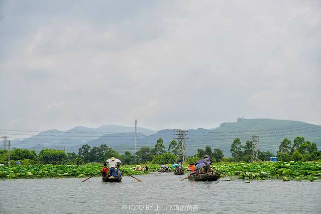 江门古劳水乡旅游区