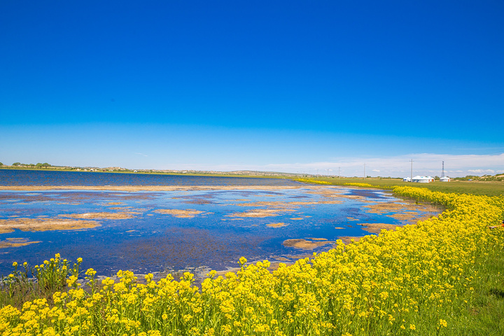上都湖,也叫扎格斯台淖尔草原上的战车行走在路上的妹子