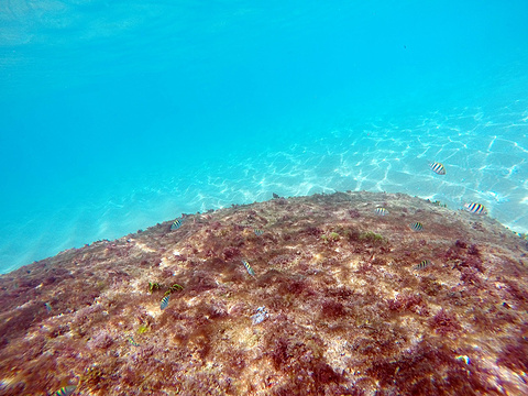 垦丁白沙湾海滩旅游景点攻略图