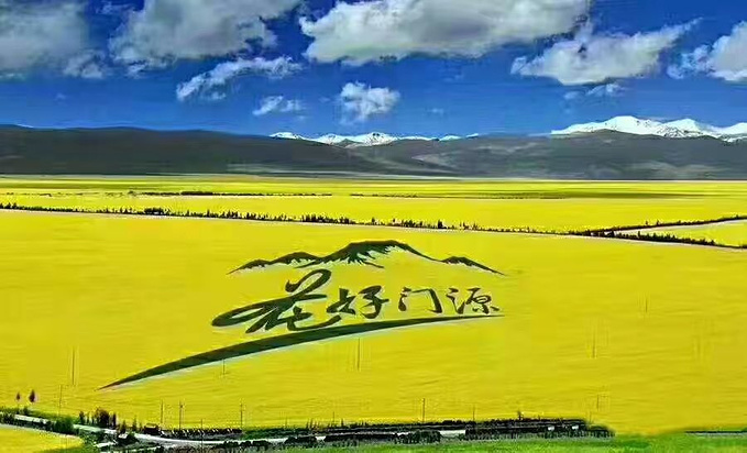 青海省门源油菜花,门源油菜花时间,门源花海_大山谷图库