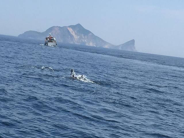 宜兰龟山岛赏鲸