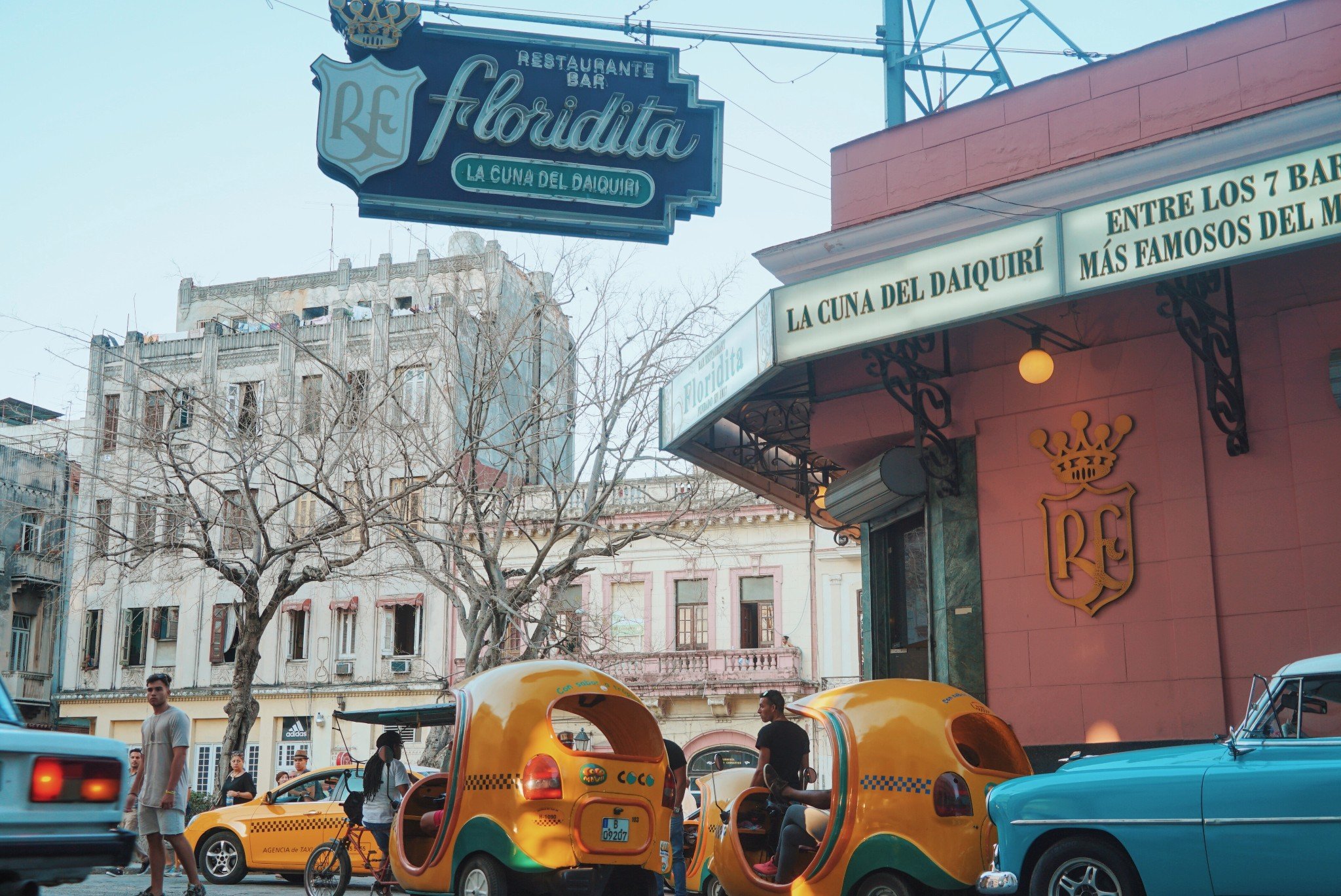 2024La Bodeguita del Medio美食餐厅,La Bodeguita del Med...【去哪儿攻略】