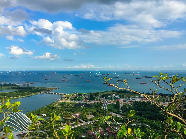 滨海湾金沙空中花园