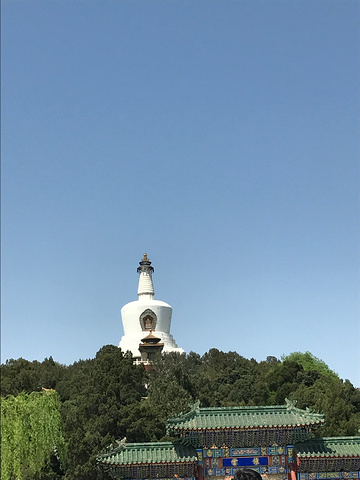 故宫的门票是提前网上订好的,不用换票,大人小