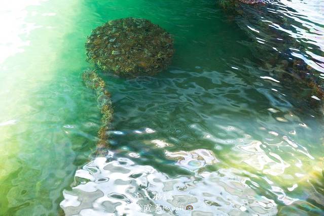 美国海军亚利桑那号战列舰纪念馆