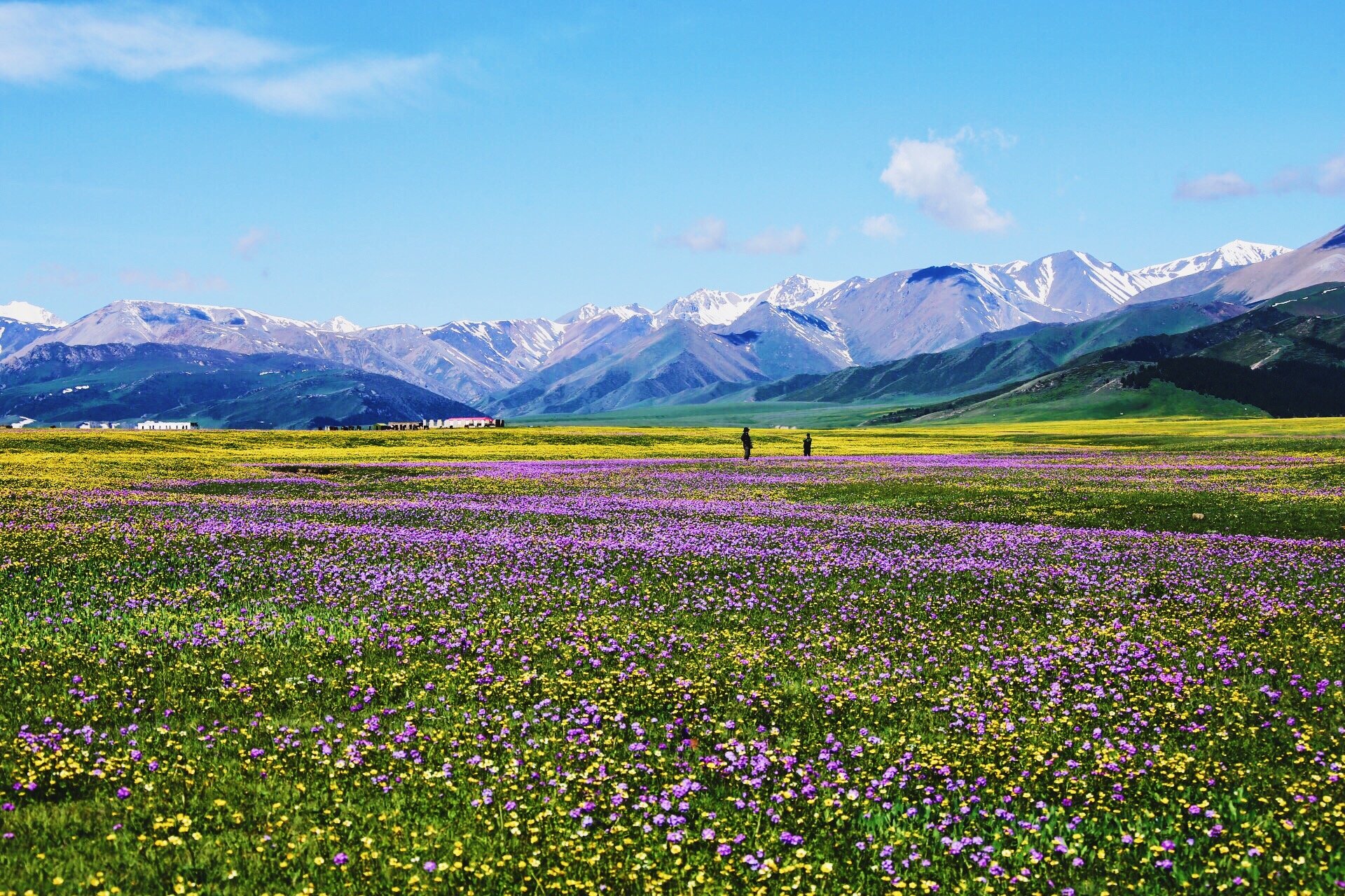 大美新疆,美在天山---2017年5月伊犁7日深度游记-旅游攻略-游记-去哪儿攻略
