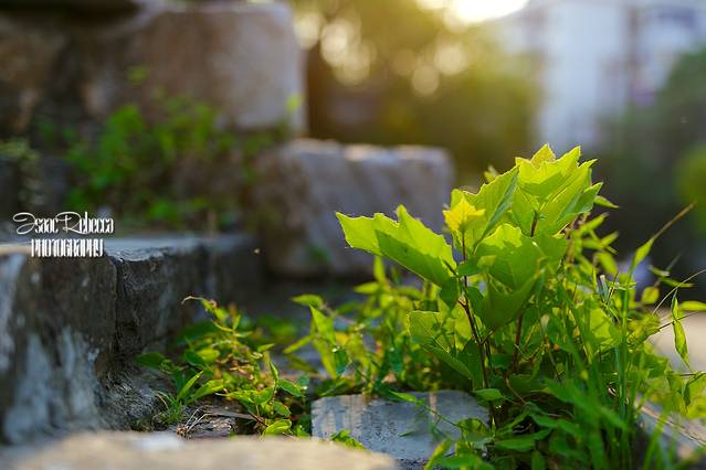 东水关遗址公园