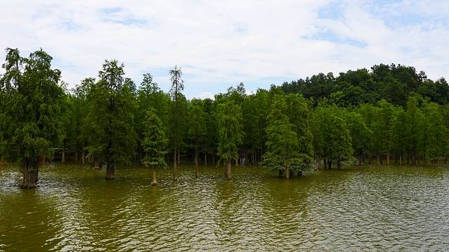 青山湖国家森林公园