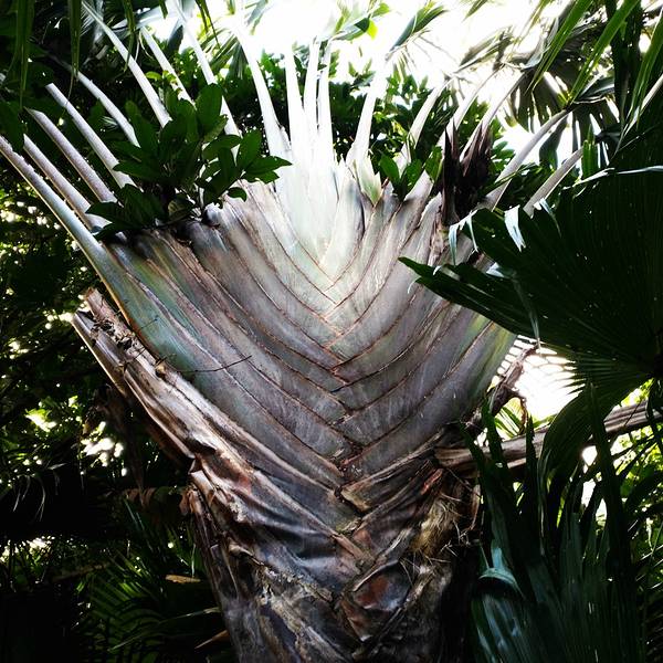2018呀诺达雨林文化旅游区门票,保亭呀诺达雨