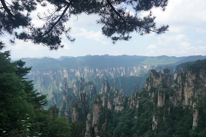天朦朦亮,客栈老板开车带着去看日出 在老屋场