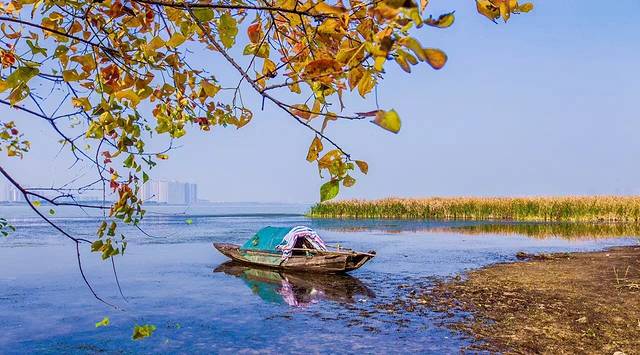 武汉后官湖国家湿地公园
