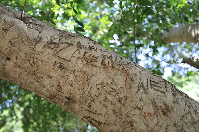 Church of the Primacy of Saint Peter