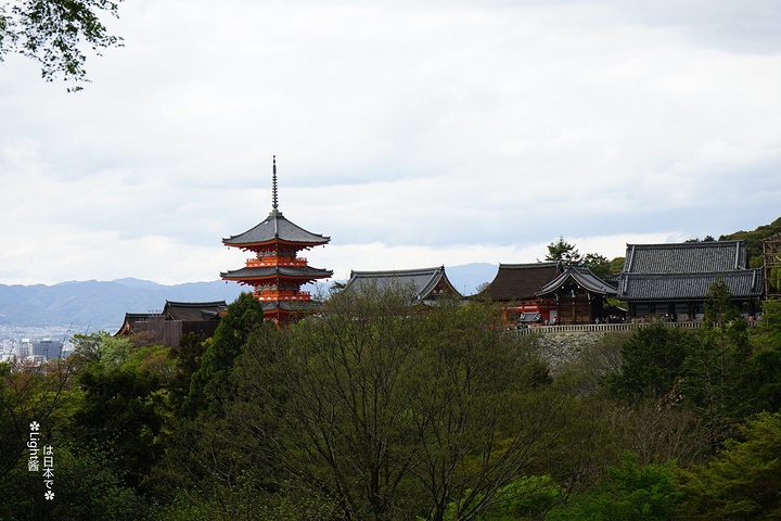 "▼ 京扇子，摆在店门口的都是1000J..._清水寺"的评论图片