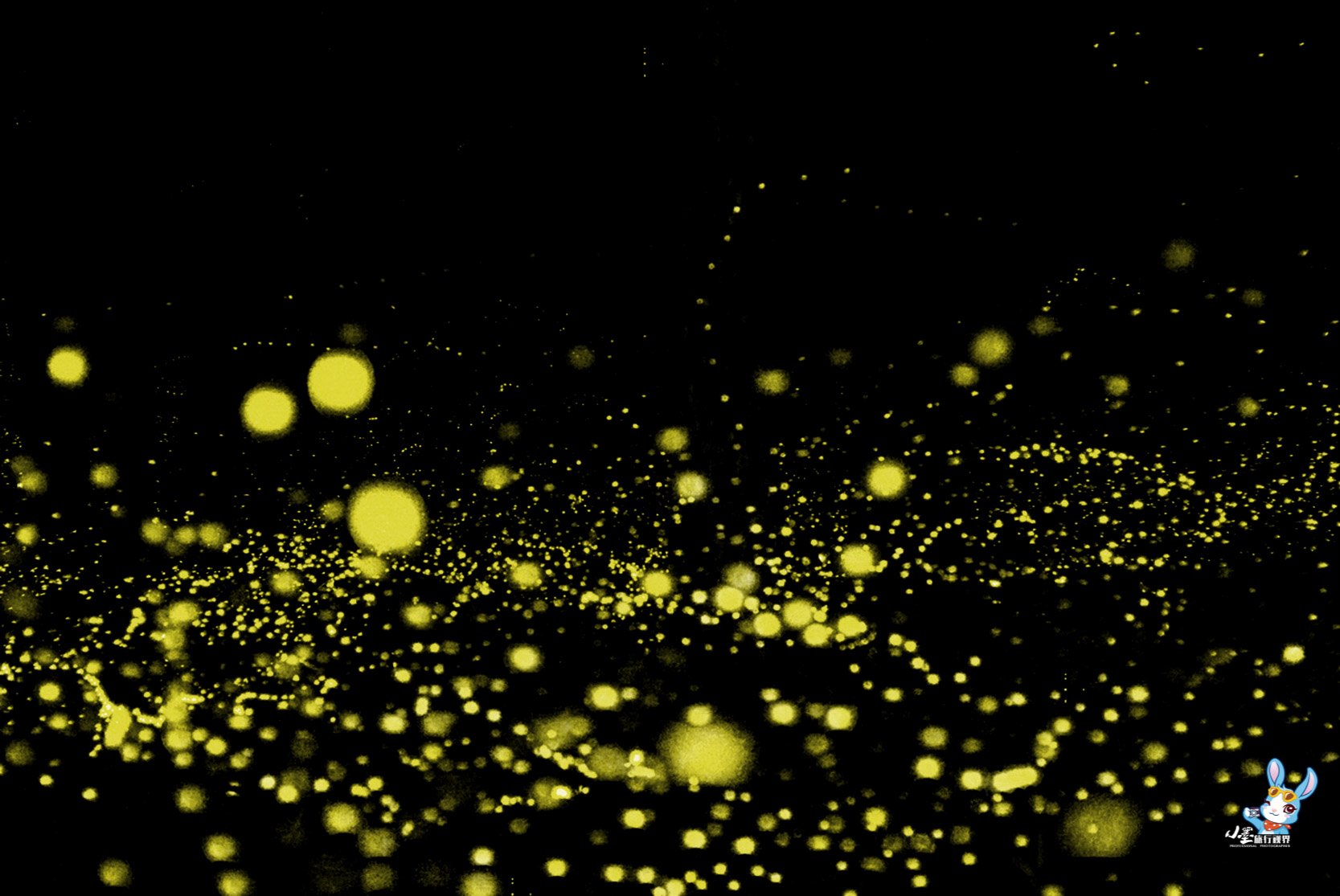 星星点点的萤火虫扑闪扑闪,点缀整条河岸,犹如圣诞树上的装饰灯,这些