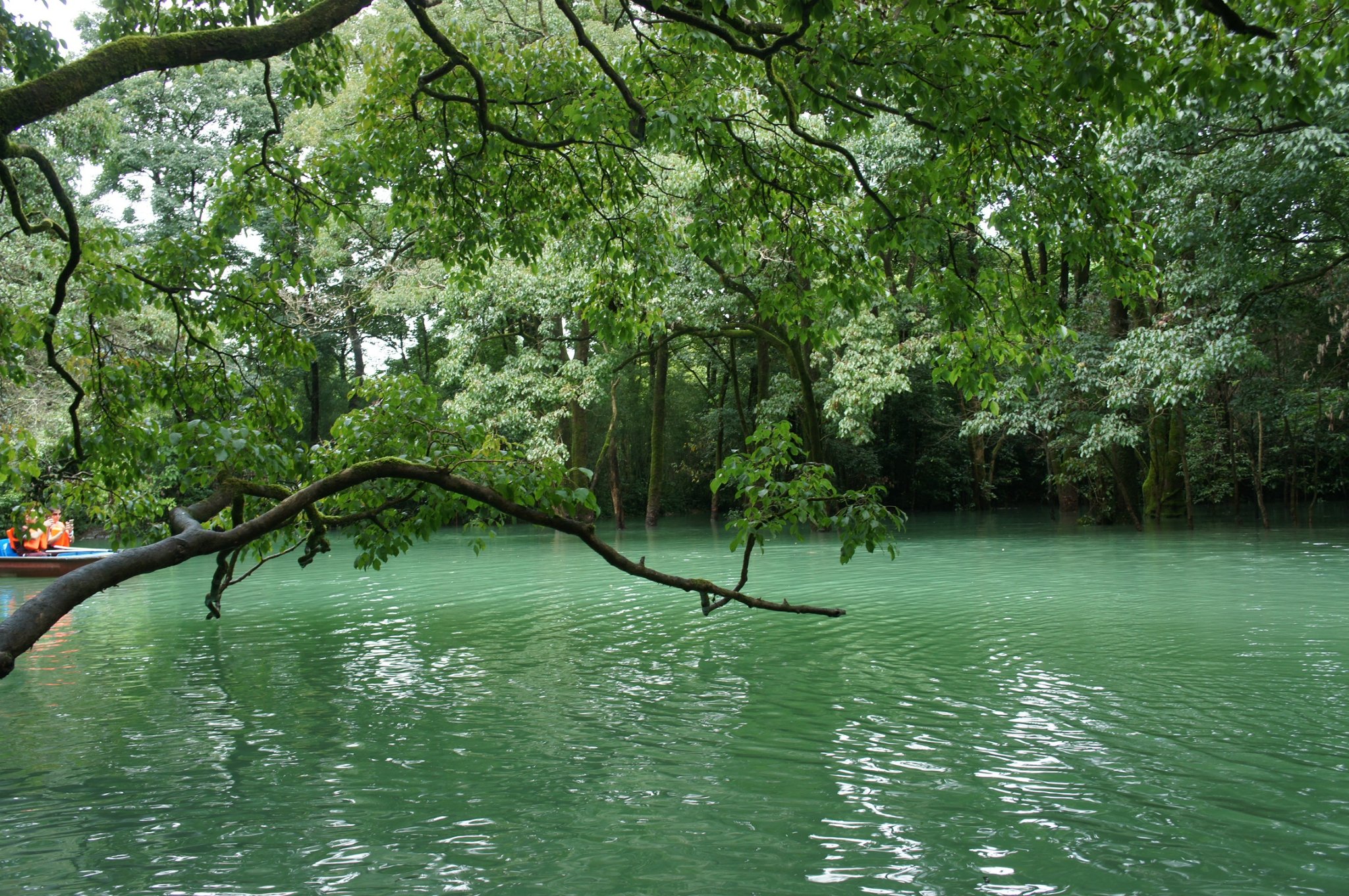 看不尽的青山绿水之多彩贵州~~~黔西南到黔东南13日游