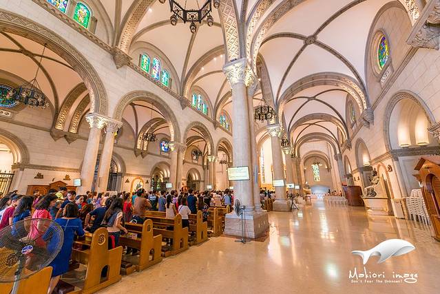 圣母无原罪圣殿主教座堂