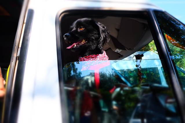 费特希耶滑翔伞