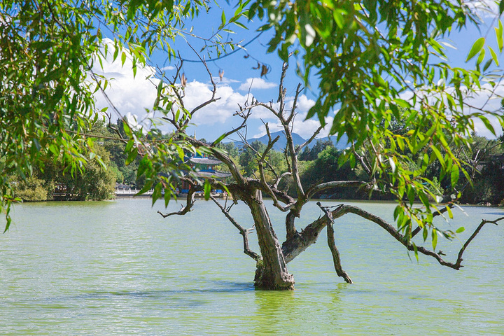风景的确是好,风熏得昏昏欲睡,后山下午4点以后就不能再上去.