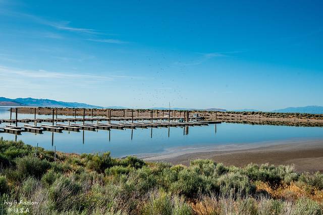 羚羊岛州立公园