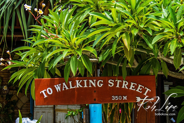 sx 60 的长焦背景虚化效果很棒。酒店环境不错