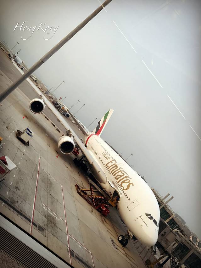 随心自在行走(三)--英国、比利时、荷兰、法国