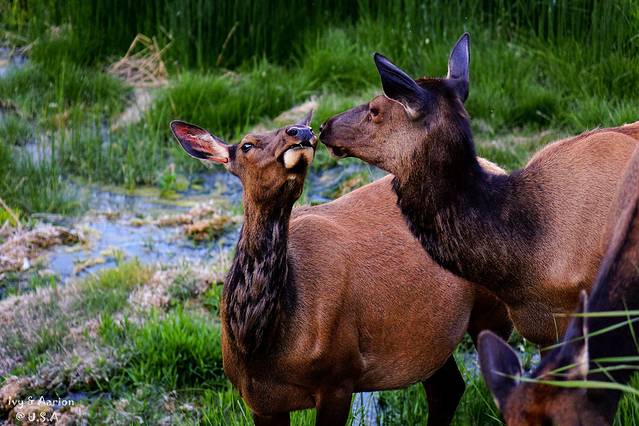 黄石国家矿山公园