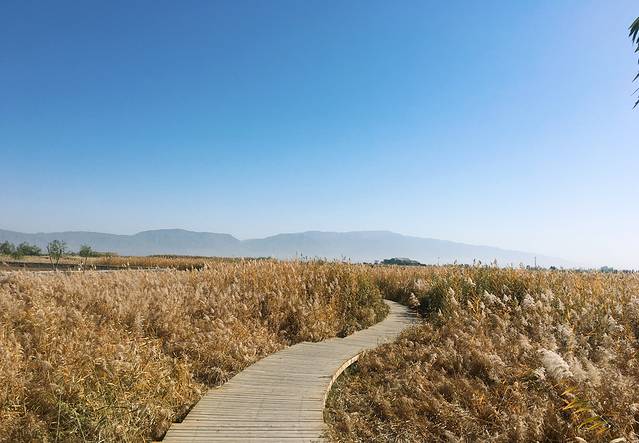 张掖国家湿地公园