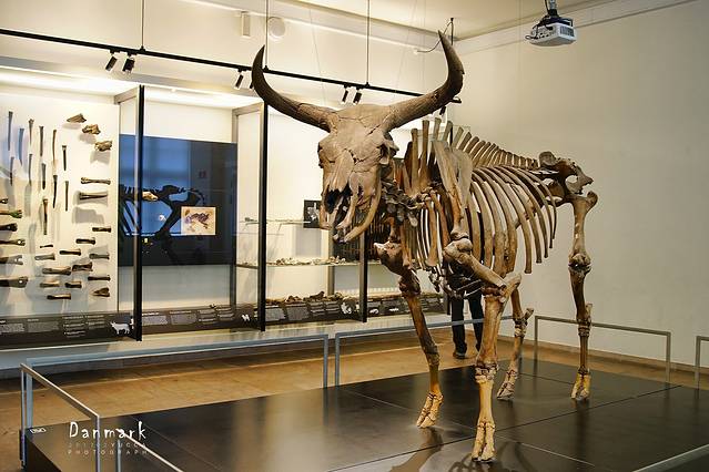 丹麦国家博物馆