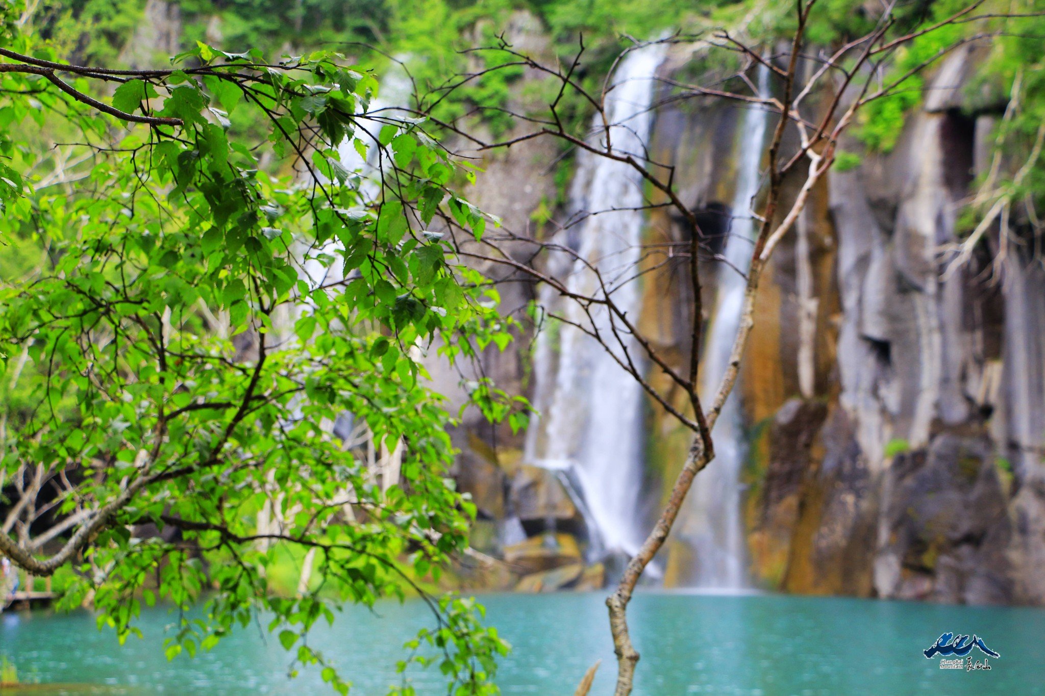绿渊潭位于岳桦林带因岳桦荫翳潭水碧绿深窘而得名水美在于绿在于清在