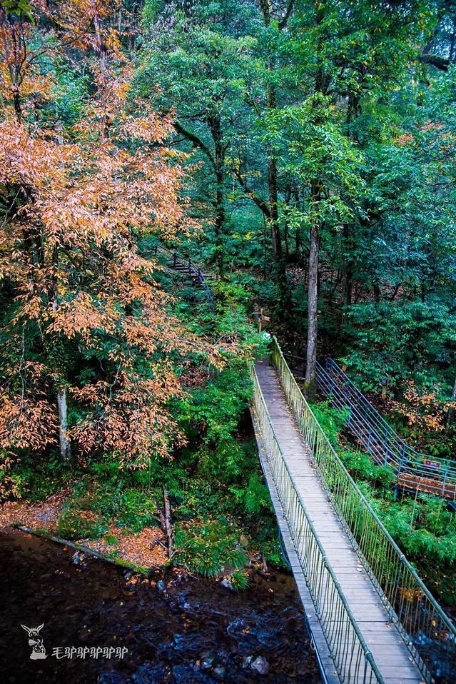 龙苍沟叠翠溪景区