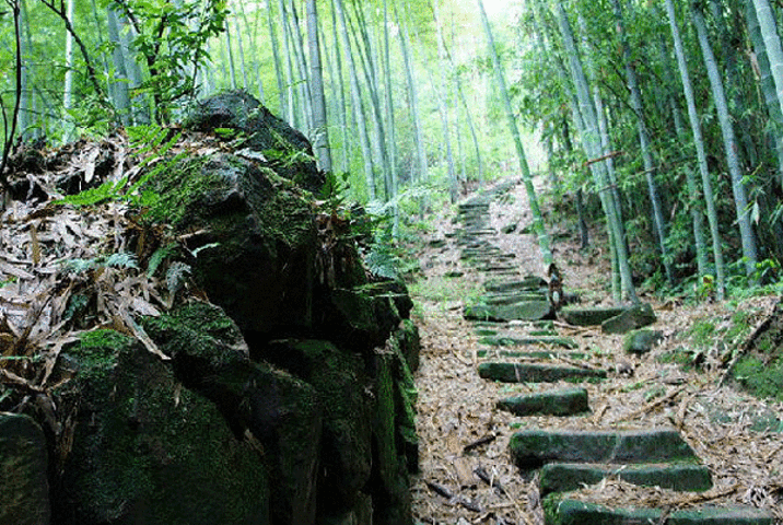 2003年张艺谋在拍摄电影《十面埋伏》时,经过多方考察,来到永川茶山