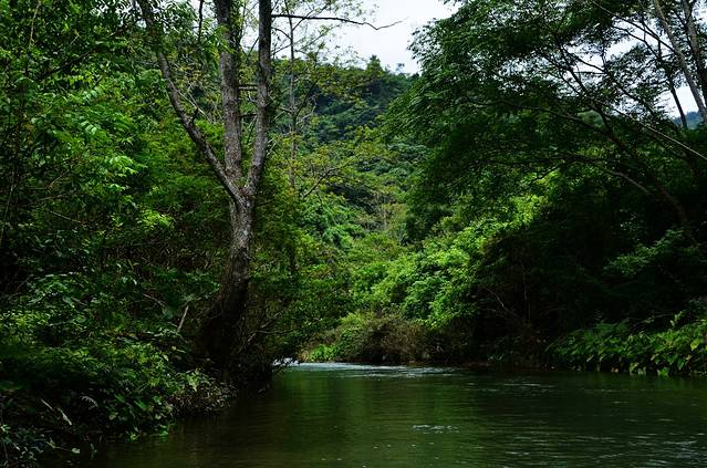 古龙山峡谷群风景区