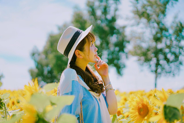 2017坐在长椅上,是不是像极了日本文艺片中的