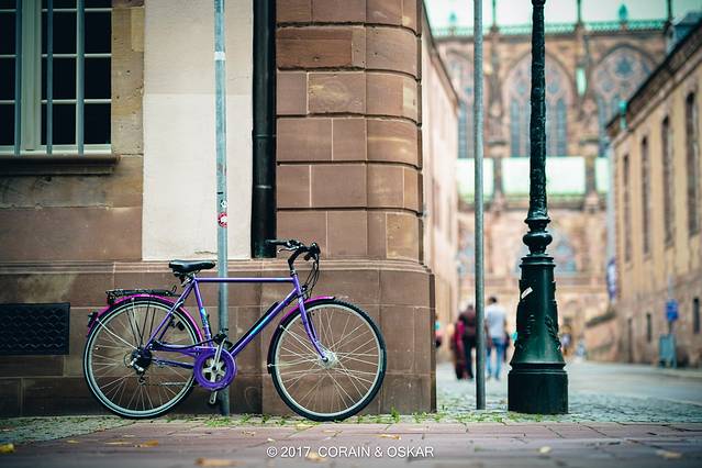 斯特拉斯堡大教堂