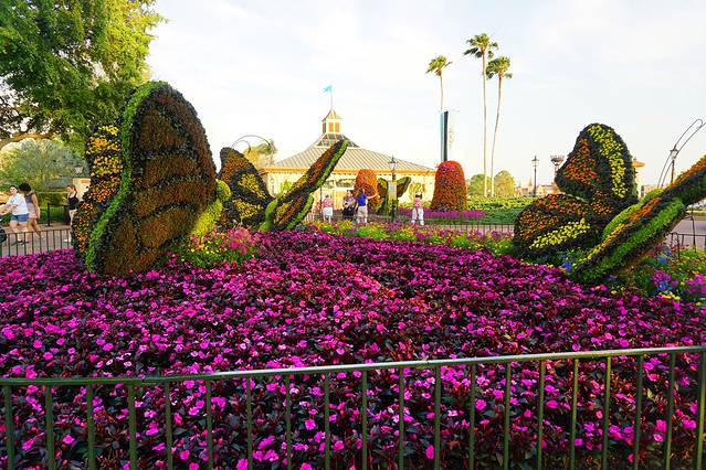 未来世界Divequest