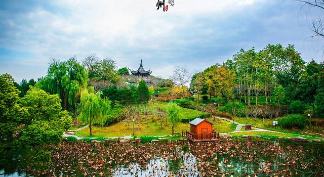 【泰州】再回首,已是十年踪迹十年心