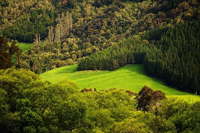 亚伯塔斯曼国家公园
