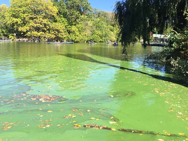 中央公园动物园