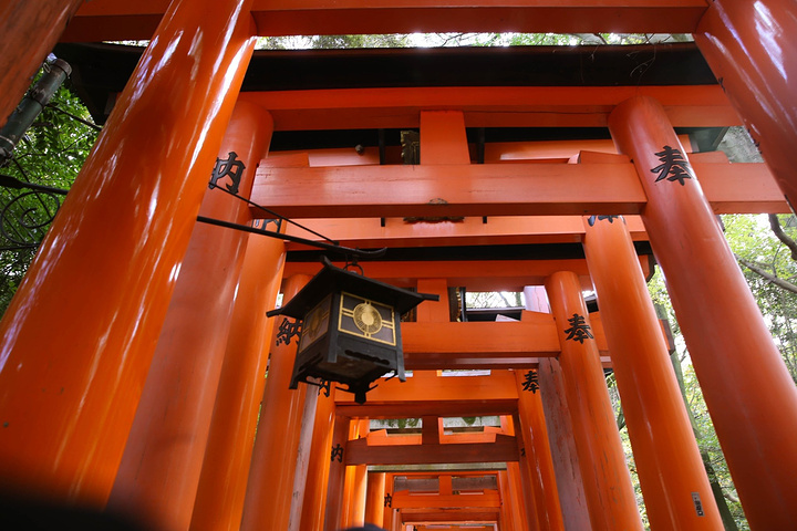 其中以京都的伏见稻荷大社最有名它是全日本稻荷神社的大本营拍摄地为