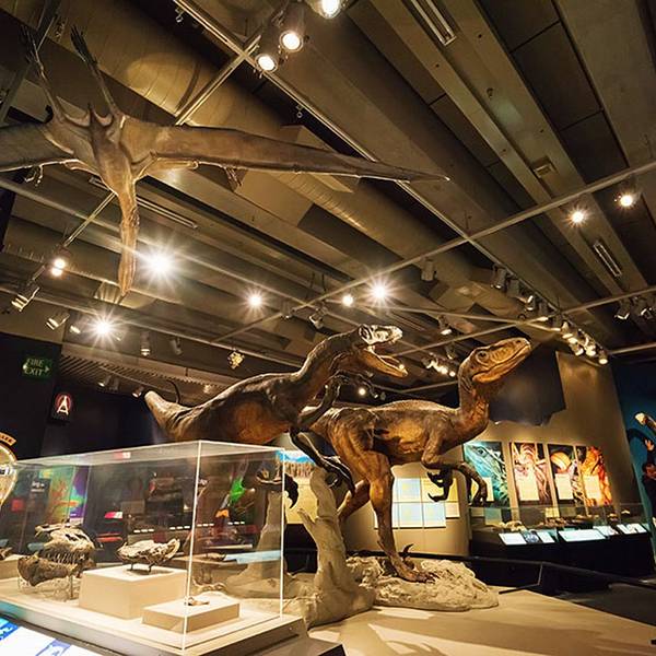 2018新西兰国家博物馆_旅游攻略_门票_地址_